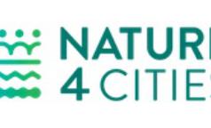 Logo N4C