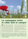 papaveri_ fioradilisi_min (Locked by Luca Grioni (l.grioni))