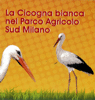 cicogna_min