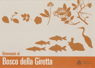 bosco_giretta_min
