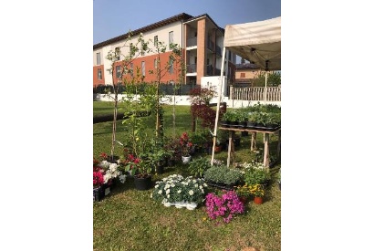 SviluppoDiComunita_03