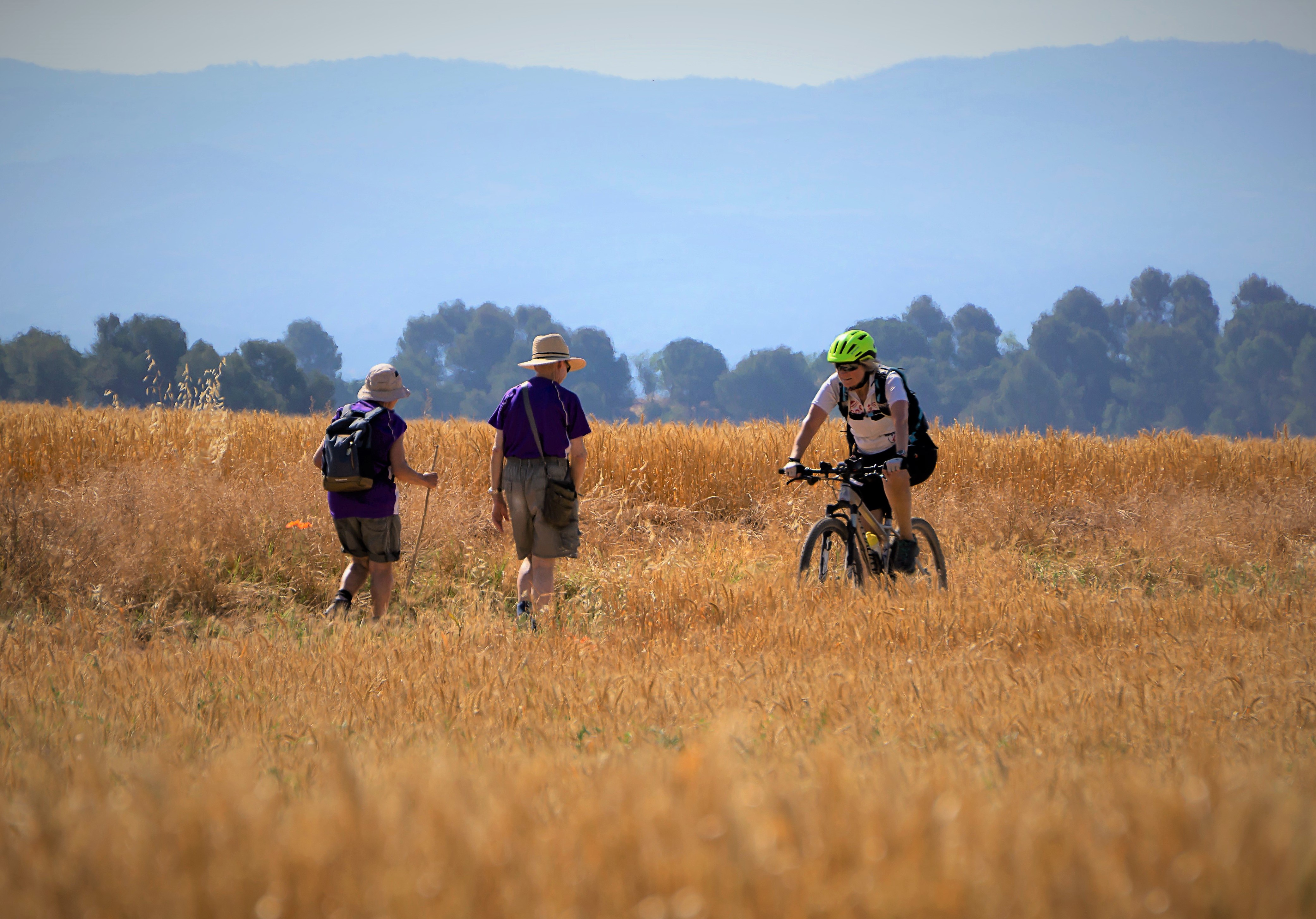 josepmonter-walkers-camminatori-ciclista-turismo-7274278 josepmonter-walkers-camminatori-ciclista-turismo-7274278