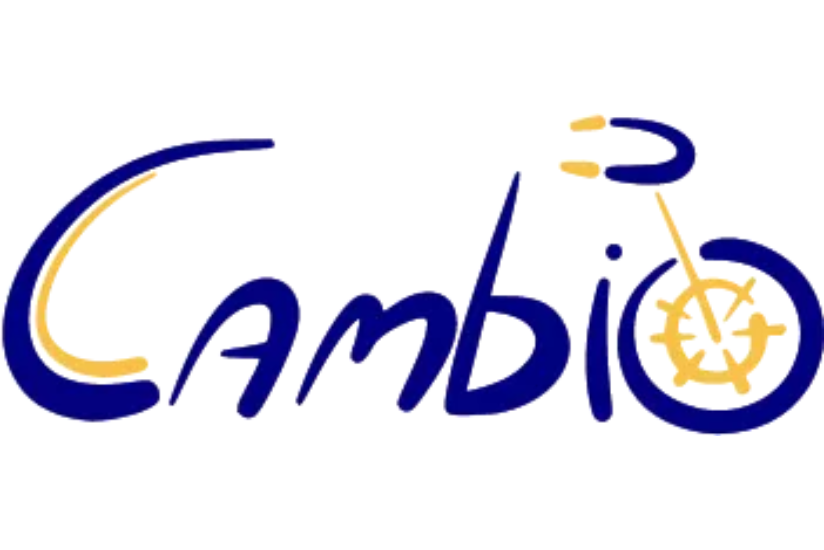 New inspections on Line 15 of the 'BICIPLAN CAMBIO' project