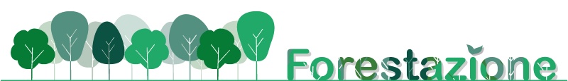 Forestazione Forestazione