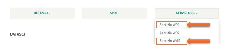 servizi_wms_wfs_rndt