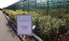 00A_IC_ImmagineInsieme