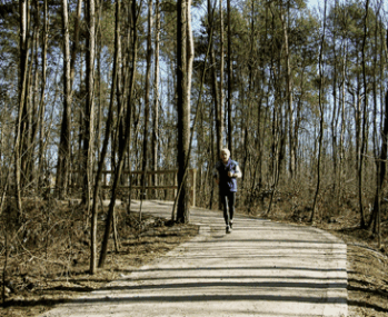 Pista ciclopedonale nella Pineta di Cesate