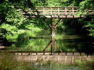 Ponte sulla lanca alla Fagiana