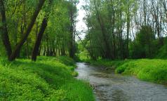 Ambiente_rivierasco7