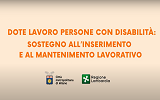 Dote lavoro persone con disabilità (questo link si apre in una nuova pagina)