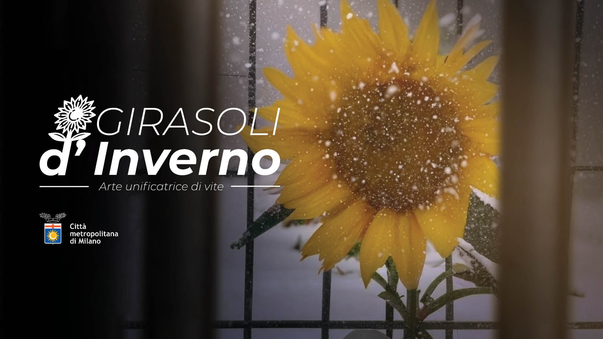 GIRASOLI INVERNO copertina orizzontale