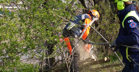 Maxi esercitazione di Protezione Civile