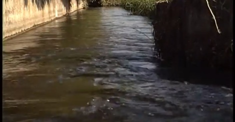 Il Naviglio della Martesana