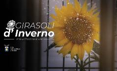 GIRASOLI INVERNO copertina orizzontale GIRASOLI INVERNO copertina orizzontale