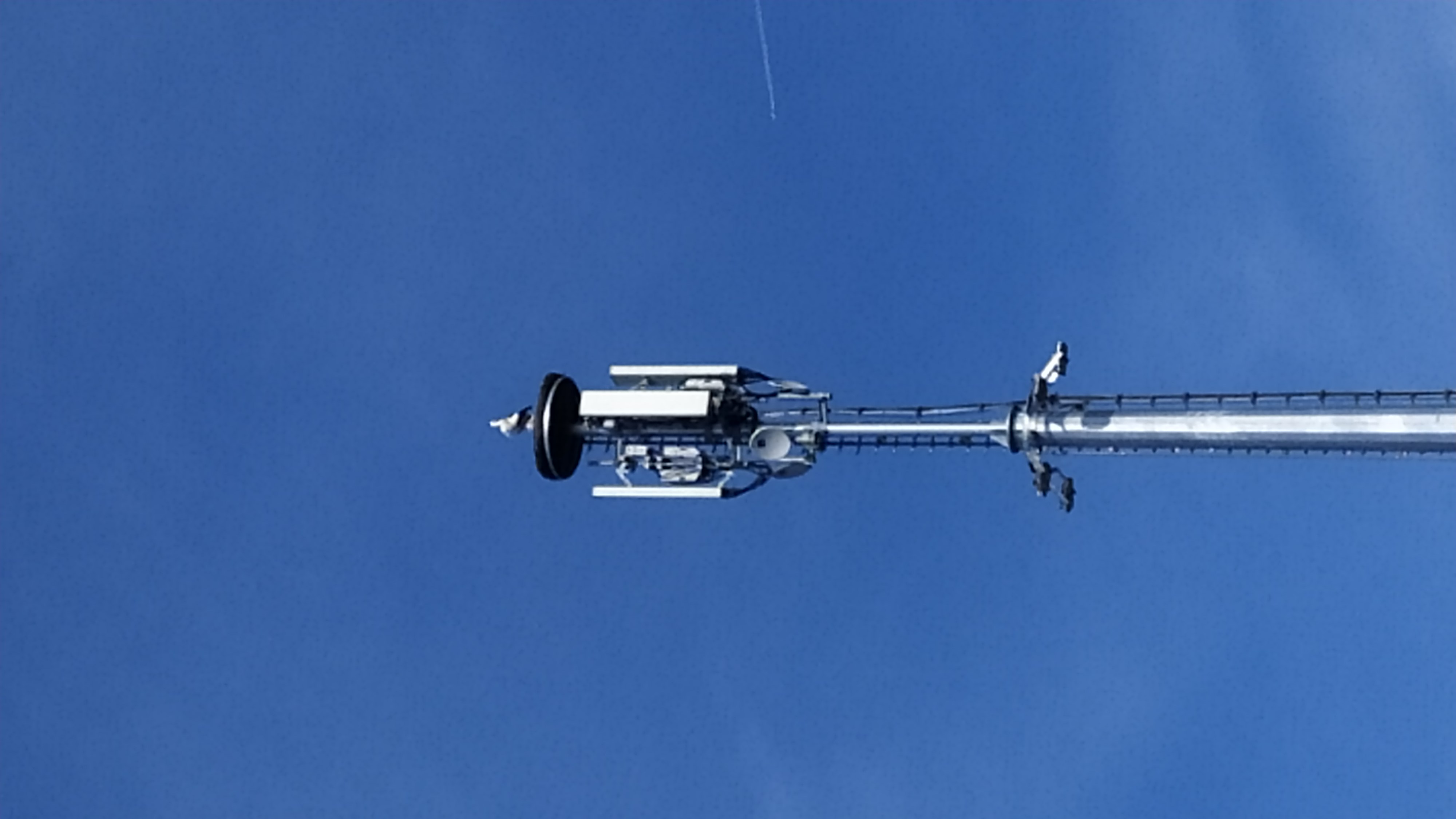 CicognaCarpiano. CicognaCarpiano.