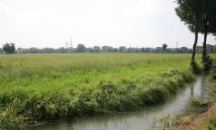 Marcita - Cascina Monasterolo