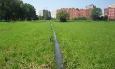 Marcita - Cascina Campazzo