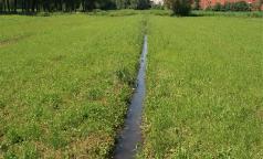 Marcita - Cascina Campazzo