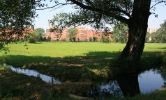 Marcita - Cascina Campazzo