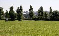 Parco di Trenno Parco di Trenno