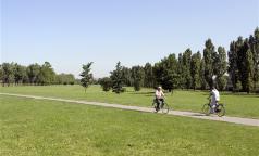 Parco di Trenno Parco di Trenno