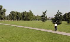 Parco di Trenno Parco di Trenno