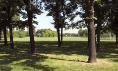 Parco di Trenno Parco di Trenno