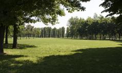 Parco di Trenno Parco di Trenno