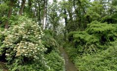 Parco dei fontanili di Rho