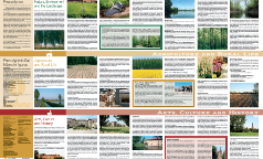 carta_retro carta_retro