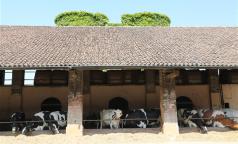 Cascina Femegro Cascina Femegro