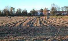Pasturago di Vernate Pasturago di Vernate