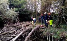 10_protezione civile_taglio alberi