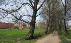 IMG_0707
