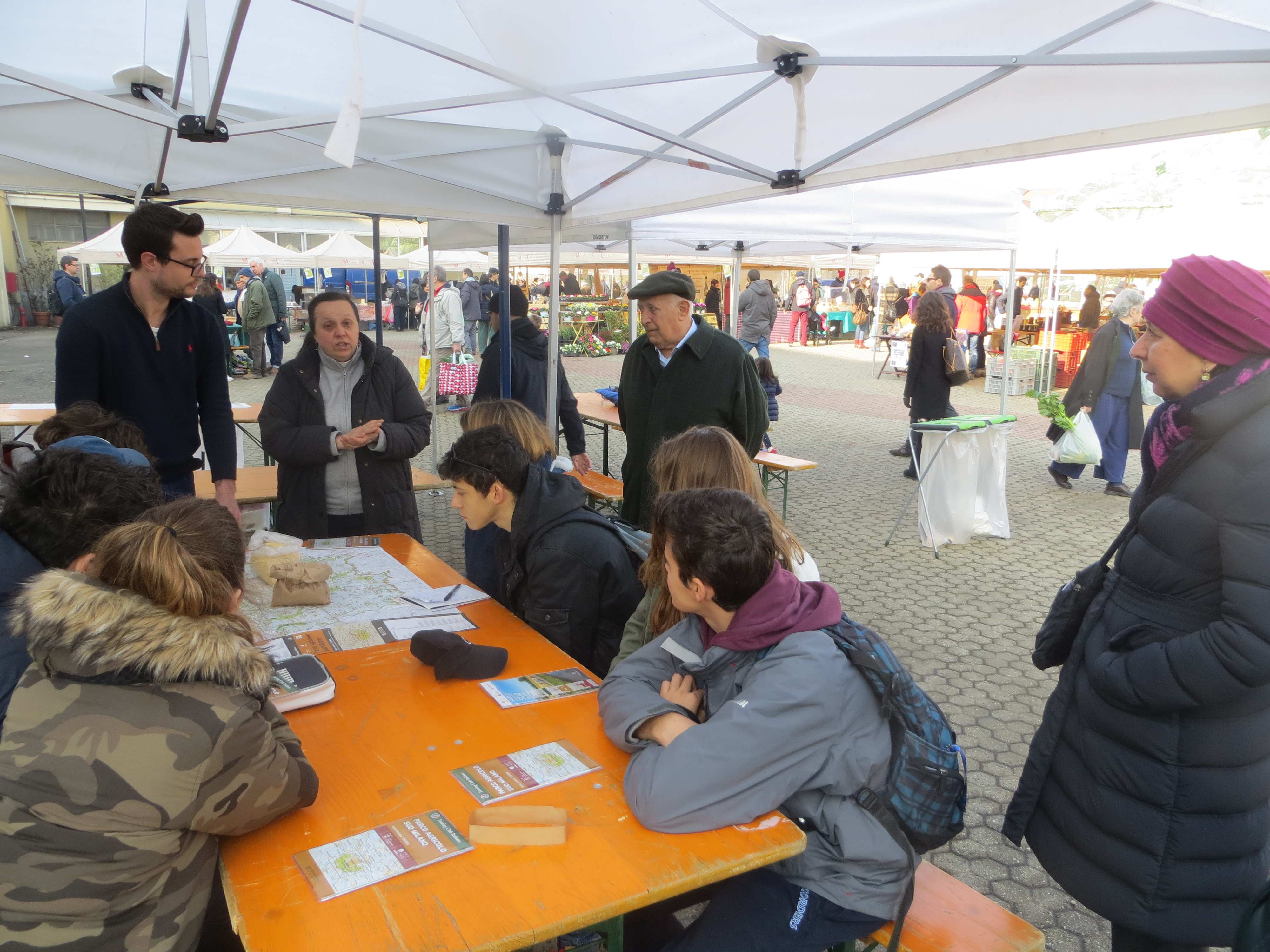 IMG_8733_compressed IMG_8733_compressed