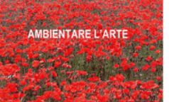 ambientare_arte_dvd_max