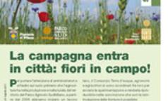 La campagna entra in città: fiori in campo!