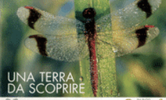 terra_scoprire