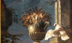 Animali e piante (Angelo Maria Crivelli) 1750