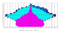 Piramide dell'età per sesso e stato civile dati 2018 - città metropolitana di Milano