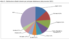 grafico2