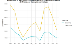 grafico5