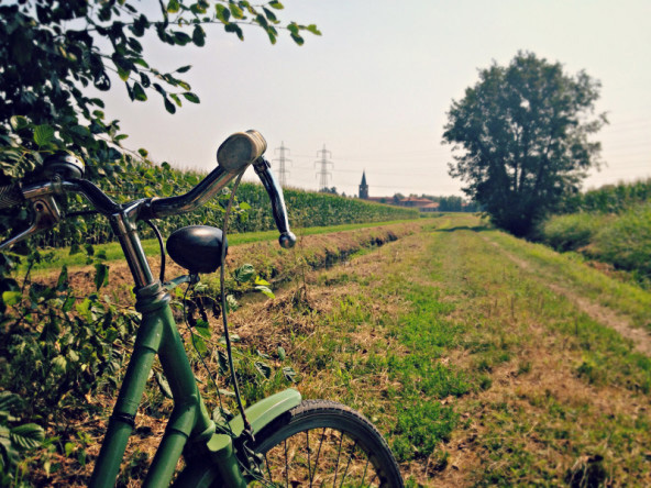 In bici al parco sud In bici al parco sud