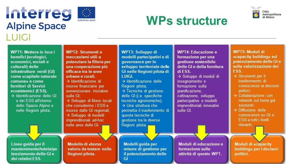 WPs -SLIDE 4 IN ITA) WPs -SLIDE 4 IN ITA)