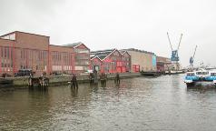 kes_olanda_2 kes_olanda_2