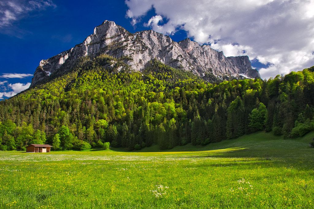 img qualsiasi ALPINE SPACE LUIGI