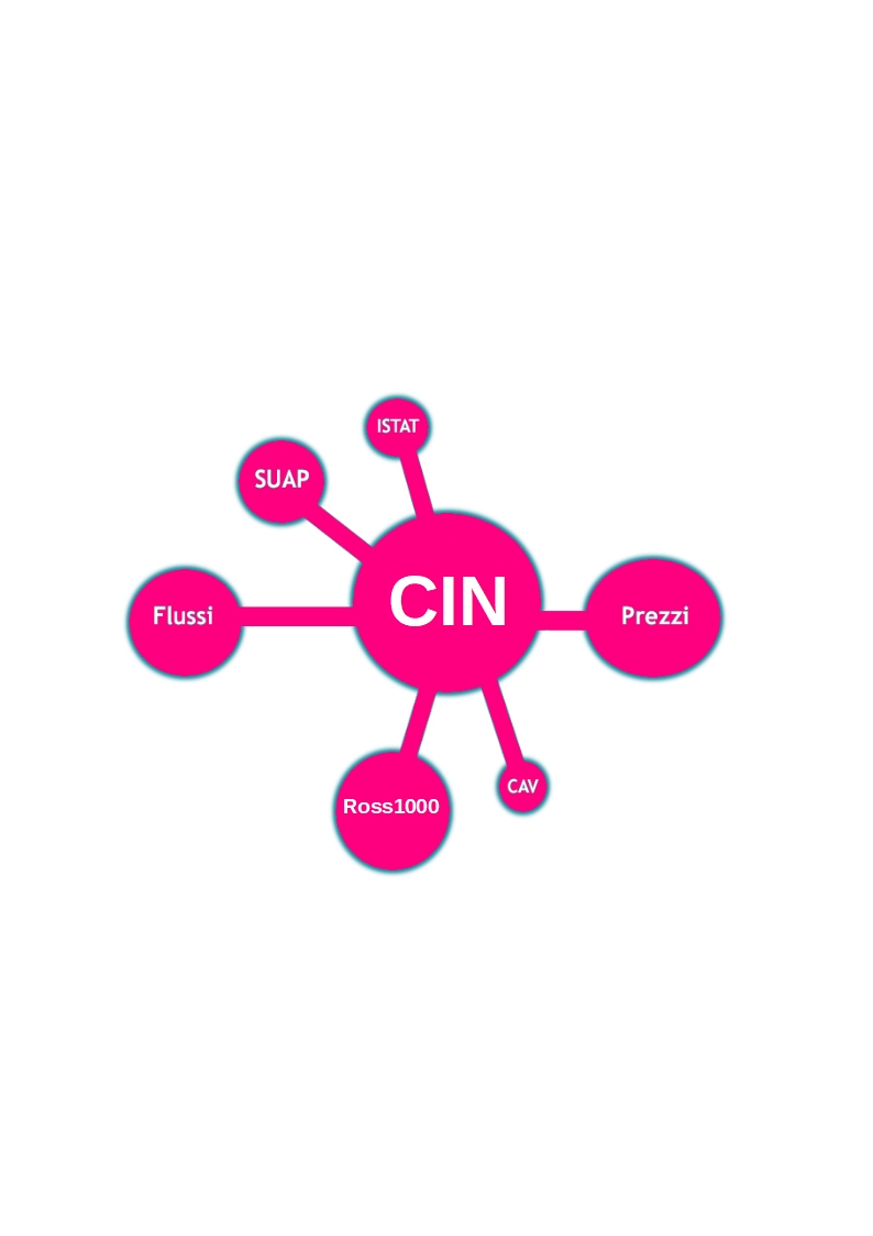 CIN - Codice Identificativo Nazionale