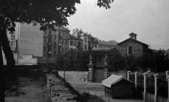 Foppino