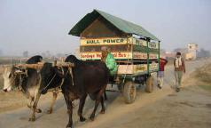 Uno_dei_nostri_9_autobus_scolastici_ecologici Uno_dei_nostri_9_autobus_scolastici_ecologici