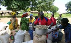 1_jangobeafrica 1_jangobeafrica